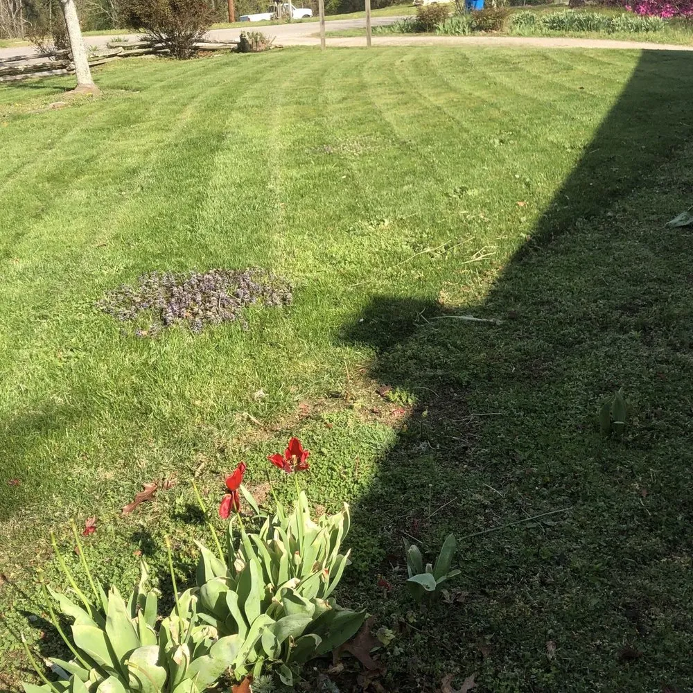 Top-rated residential landscaping in Asheville, NC by Vallejo Landscaping