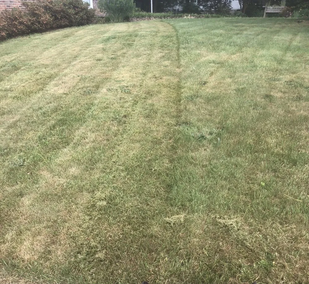 Custom garden landscaping for residential properties in Asheville, NC by Vallejo Landscaping