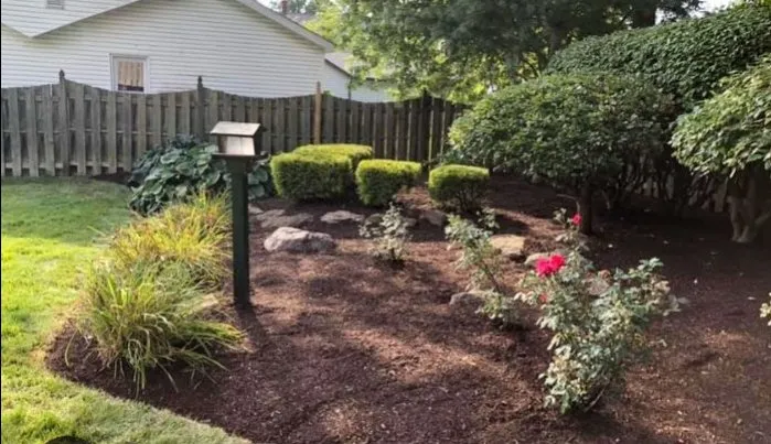 Local yard maintenance near you across Asheville, NC - Vallejo Landscaping