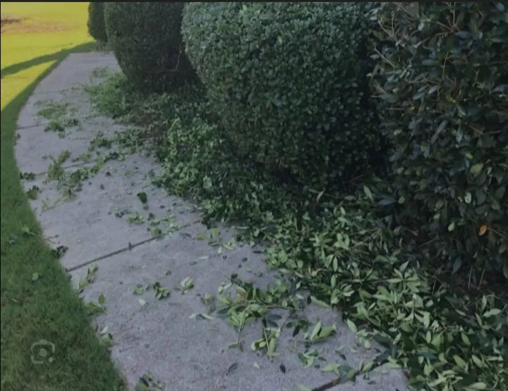 Trusted garden landscaping in Asheville, NC - Vallejo Landscaping