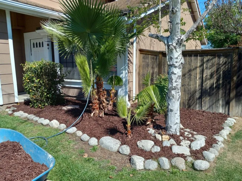 Local outdoor landscaping with custom design across Riverside, CA - Vallejo Property Preservation