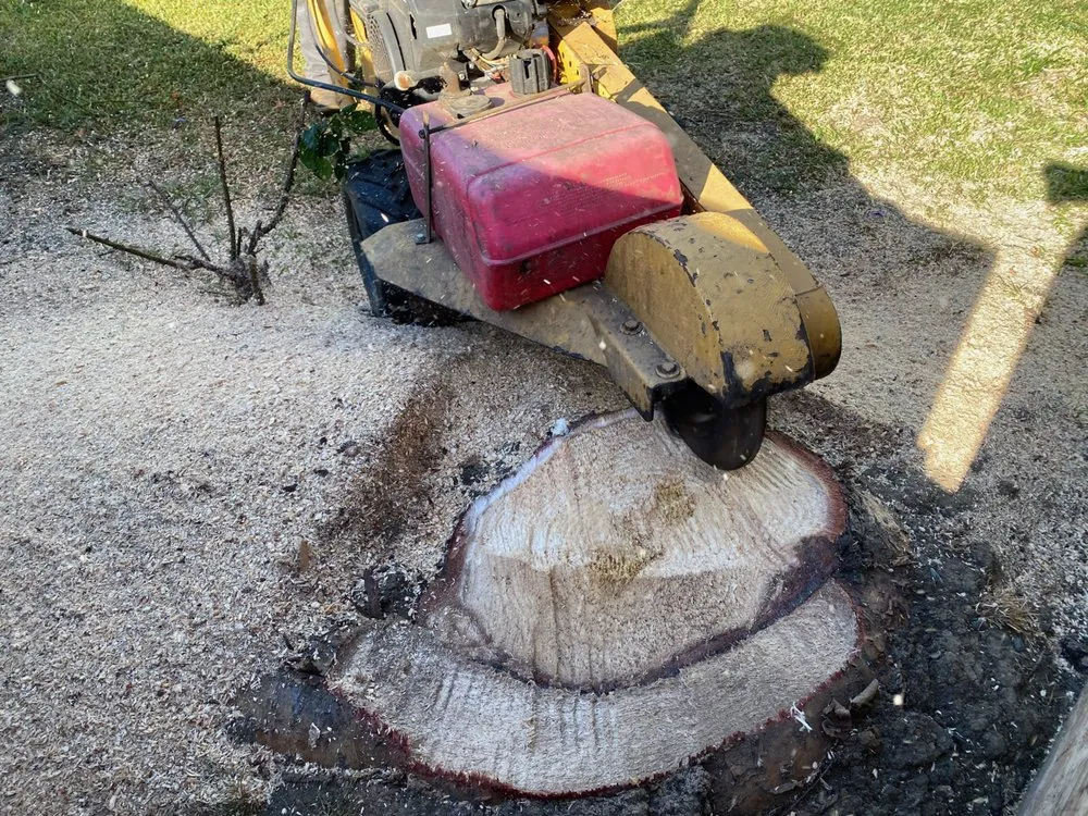 Local landscaping services for homes across Long Beach, CA - Vallejo’s Gardening