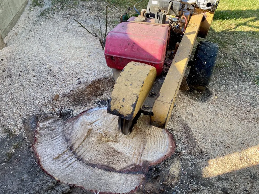 Reliable landscape installation for residential properties across Long Beach, CA - Vallejo’s Gardening