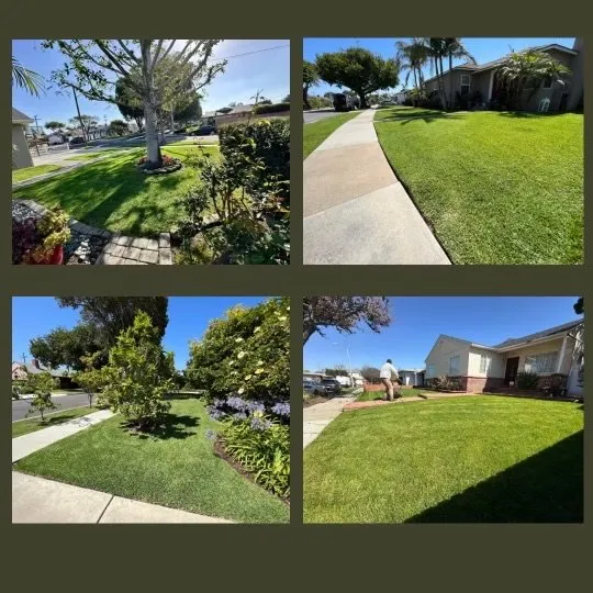 Affordable landscape design with custom design in Long Beach, CA by Vallejo’s Gardening