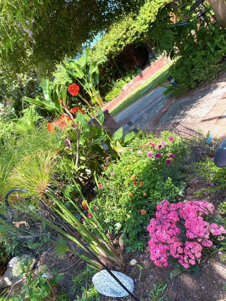 Reliable outdoor landscaping in Long Beach, CA - Vallejo’s Gardening