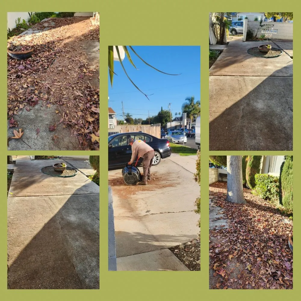 Professional residential landscaping experts serving Long Beach, CA - Vallejo’s Gardening