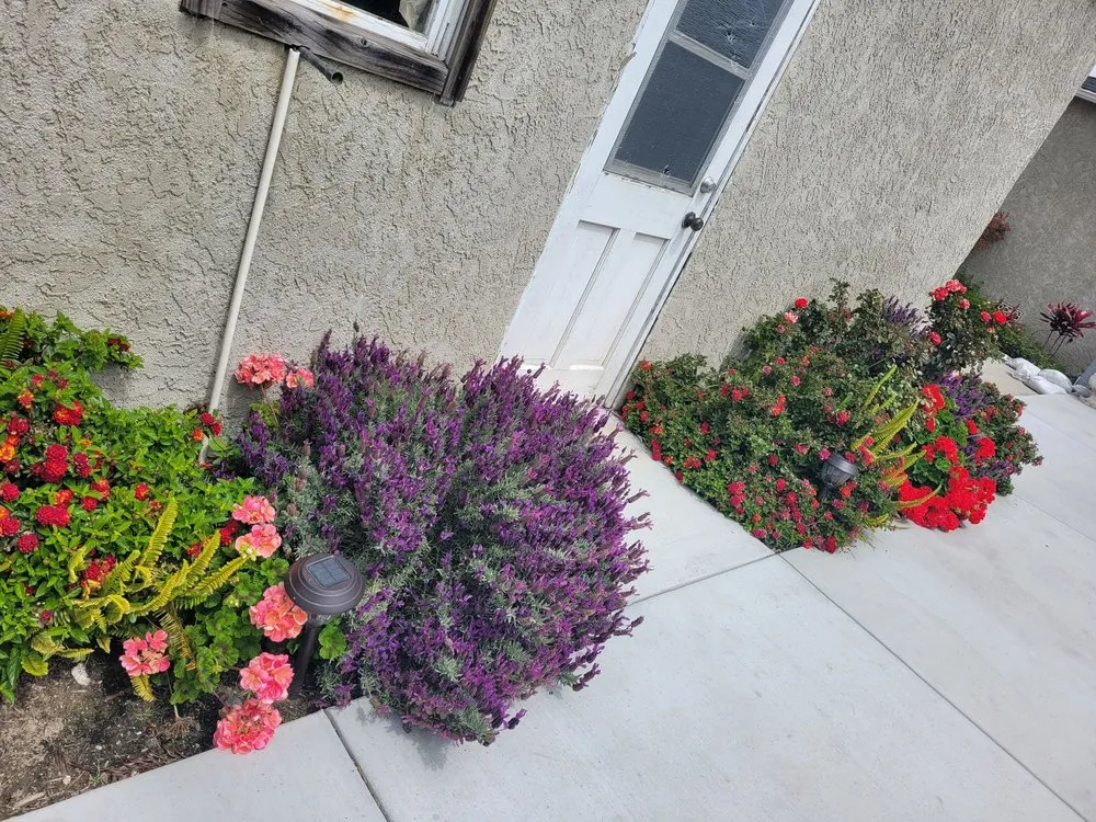 Top-rated landscape design in Long Beach, CA - Vallejo’s Gardening