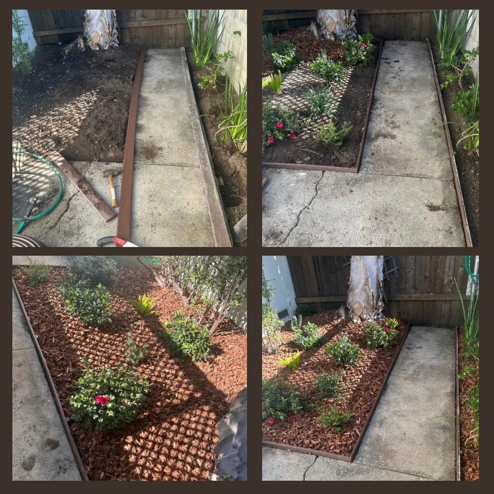 Affordable garden landscaping in Long Beach, CA - Vallejo’s Gardening