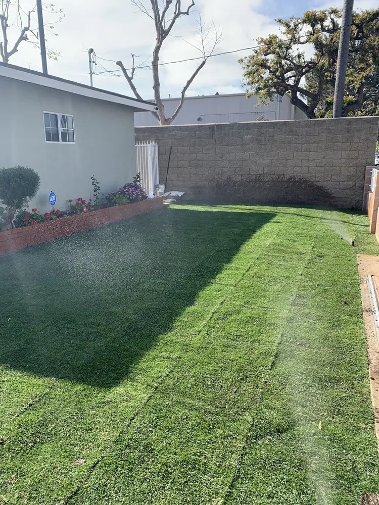 Top-rated landscaping services in Long Beach, CA - Vallejo’s Gardening