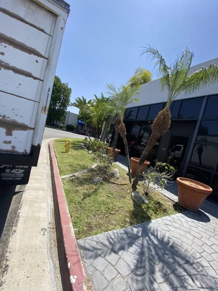 Top-rated yard maintenance near you in La Puente, CA by Vallejo’s Landscaping & Tree Service