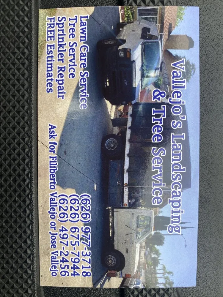 Professional lawn care service in La Puente, CA by Vallejo’s Landscaping & Tree Service