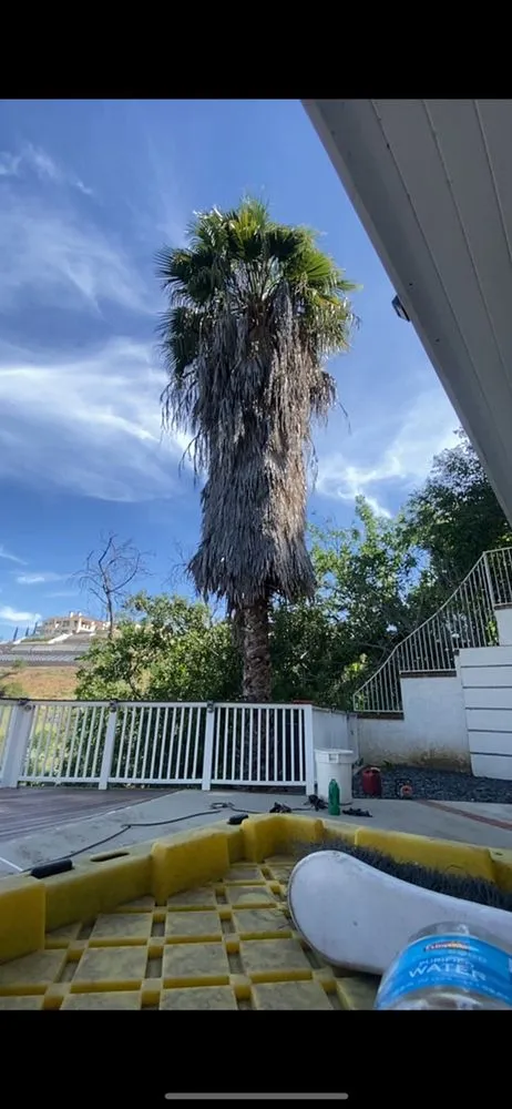 Top-rated garden landscaping near you in La Puente, CA by Vallejo’s Landscaping & Tree Service