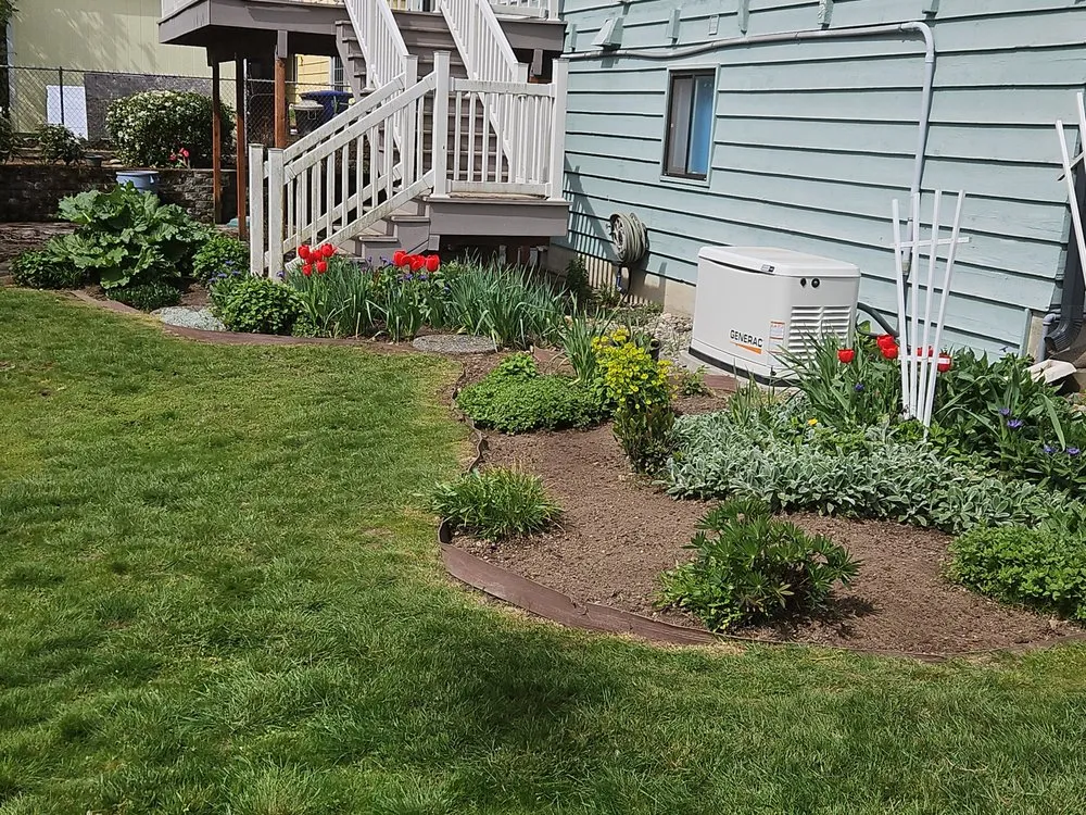Professional yard cleanup service in Seattle, WA - Vallejo's Landscaping