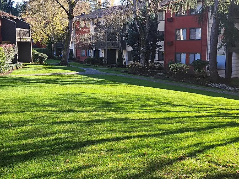 Expert outdoor landscaping in Seattle, WA by Vallejo's Landscaping