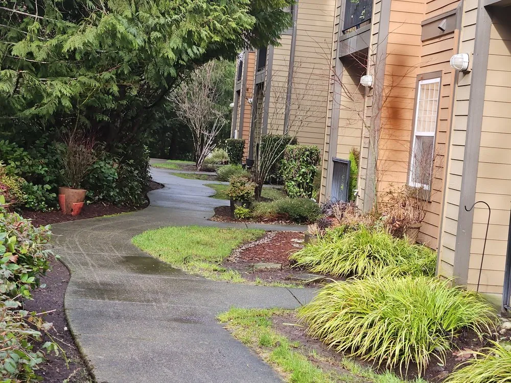 Professional yard cleanup service near you across Seattle, WA - Vallejo's Landscaping