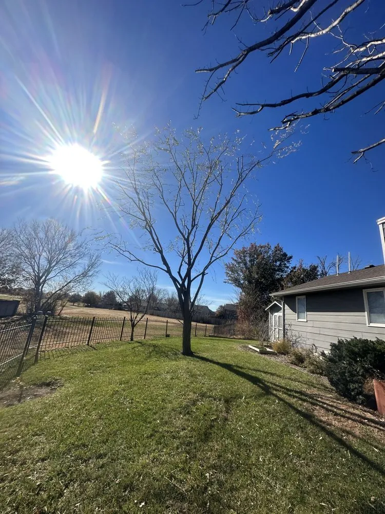 Professional landscape installation for homes in Littlerock, CA by Valles Landscaping