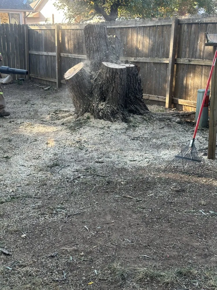 Affordable landscape design in Littlerock, CA - Valles Landscaping