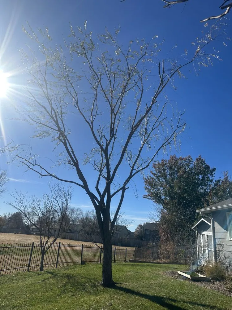 Affordable landscaping services in Littlerock, CA - Valles Landscaping