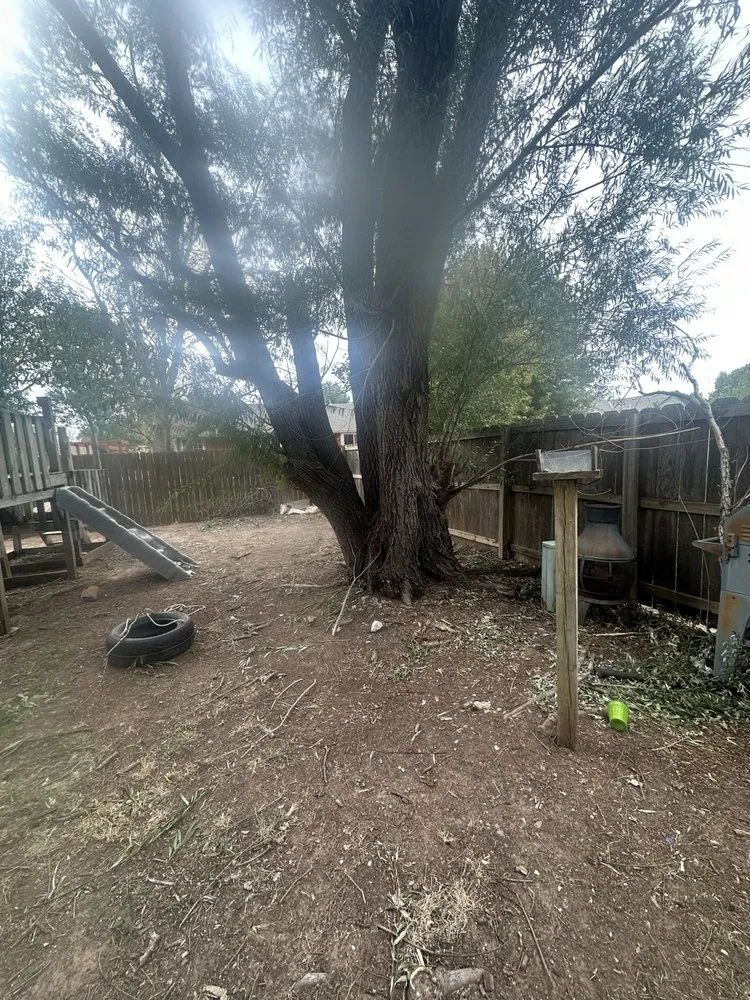 Professional outdoor landscaping experts serving Littlerock, CA - Valles Landscaping