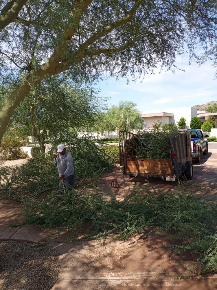 Affordable landscape installation experts serving Phoenix, AZ - Valles Landscaping