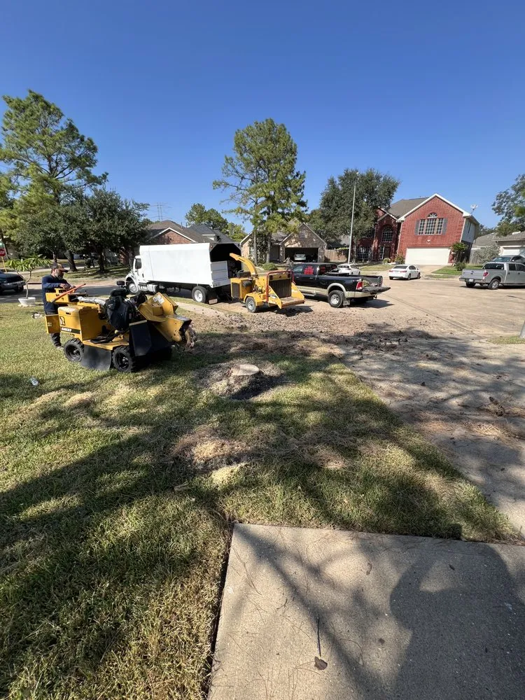 Affordable garden landscaping near you in Yorktown Colony, TX by Valle’s Tree Services