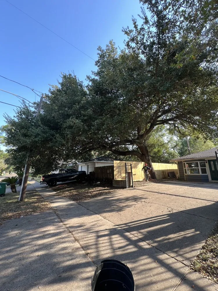 Custom outdoor landscaping in Yorktown Colony, TX - Valle’s Tree Services
