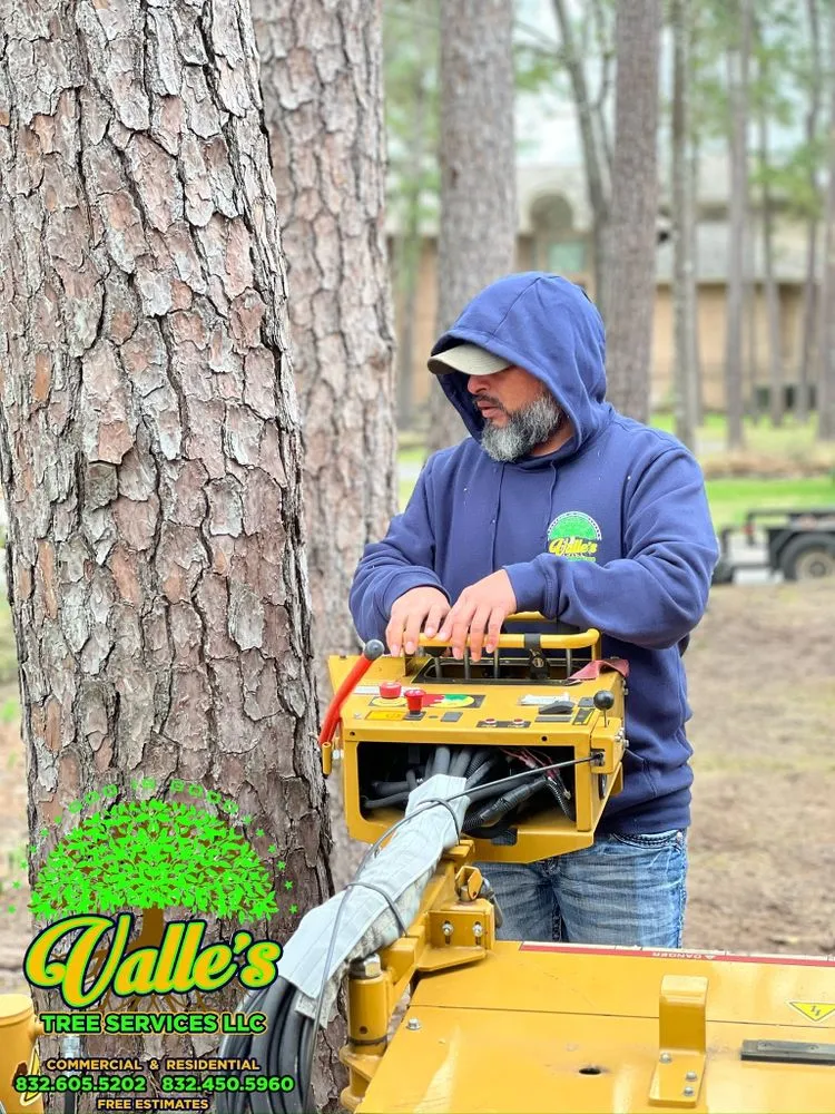 Local lawn care service experts serving Yorktown Colony, TX - Valle’s Tree Services