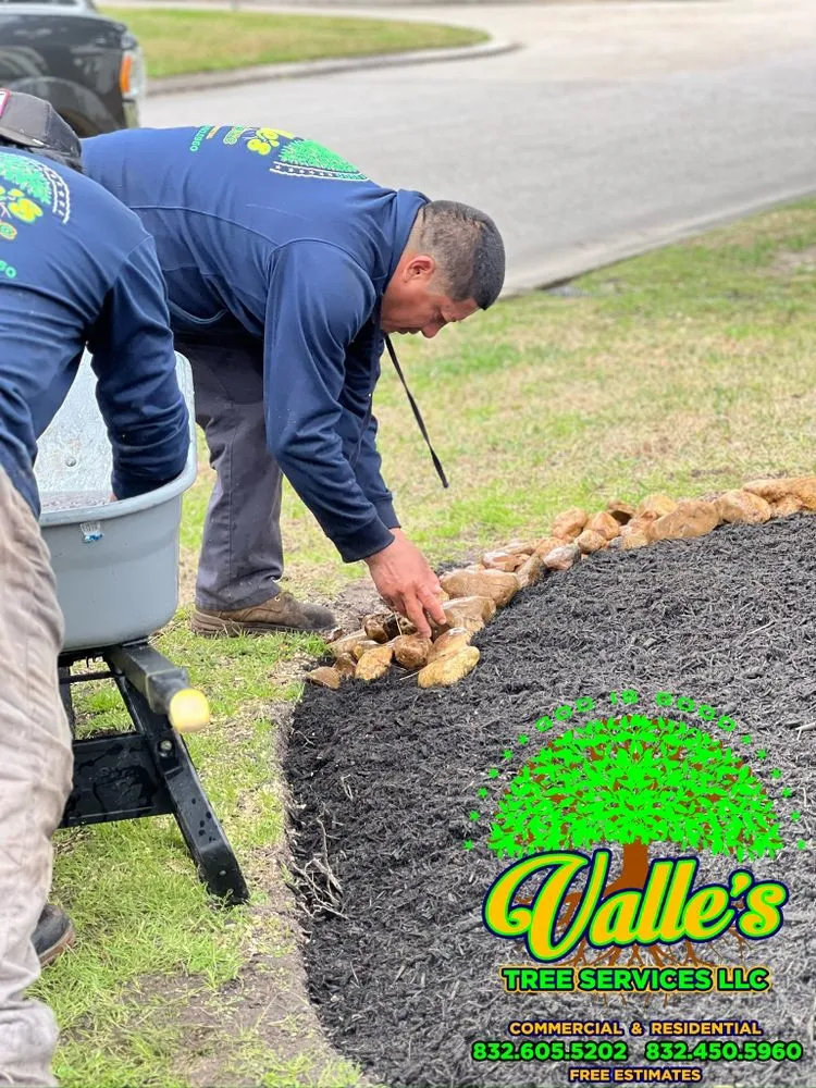 Affordable landscape design for residential properties across Yorktown Colony, TX - Valle’s Tree Services