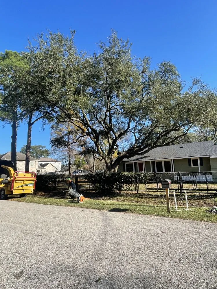 Professional lawn mowing service for outdoor upgrades in Yorktown Colony, TX by Valle’s Tree Services