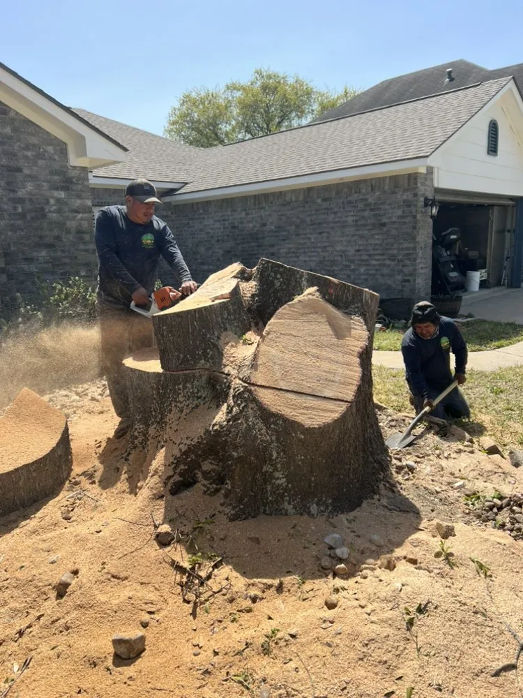 Professional lawn care service in Yorktown Colony, TX by Valle’s Tree Services