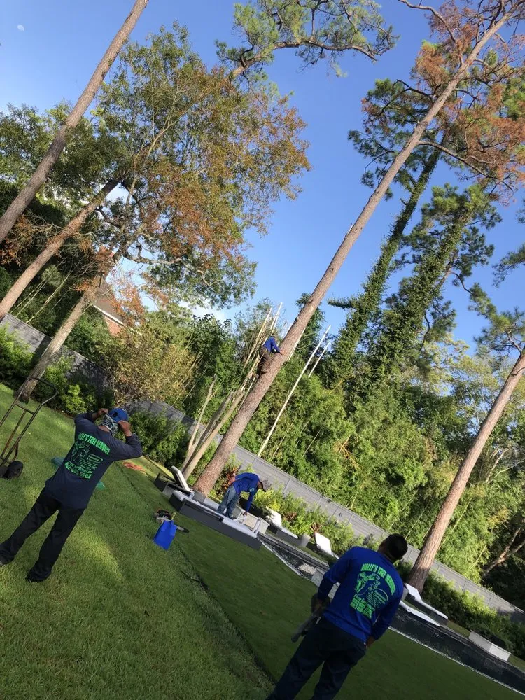 Local landscaping services in Yorktown Colony, TX - Valle’s Tree Services