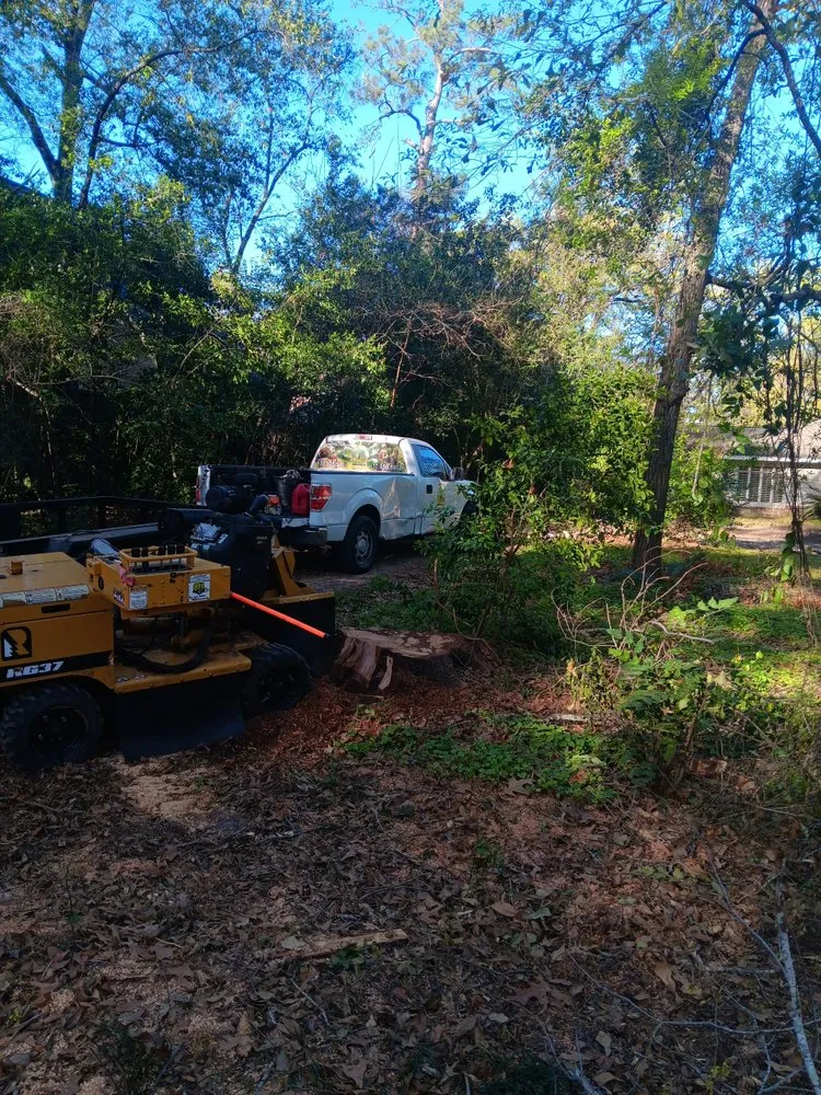 Expert lawn mowing service in Yorktown Colony, TX by Valle’s Tree Services