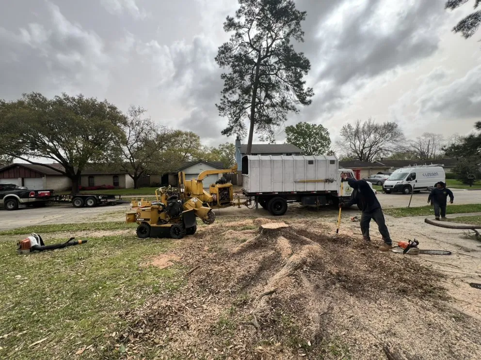 Local lawn care service in Yorktown Colony, TX - Valle’s Tree Services