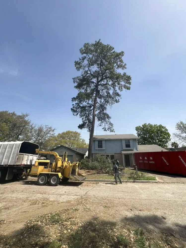 Top-rated landscape design for outdoor upgrades in Yorktown Colony, TX by Valle’s Tree Services