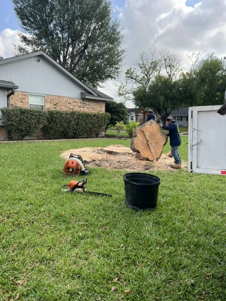 Top-rated lawn mowing service near you across Yorktown Colony, TX - Valle’s Tree Services