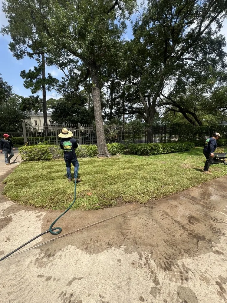 Expert outdoor landscaping for year-round maintenance across Yorktown Colony, TX - Valle’s Tree Services