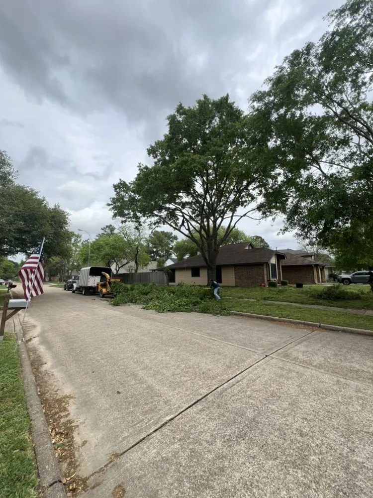 Reliable yard cleanup service in Yorktown Colony, TX by Valle’s Tree Services