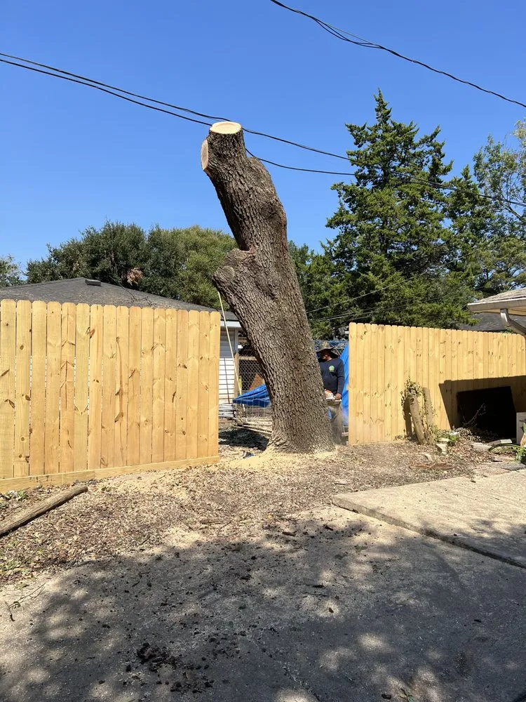 Custom yard cleanup service for homes across Yorktown Colony, TX - Valle’s Tree Services