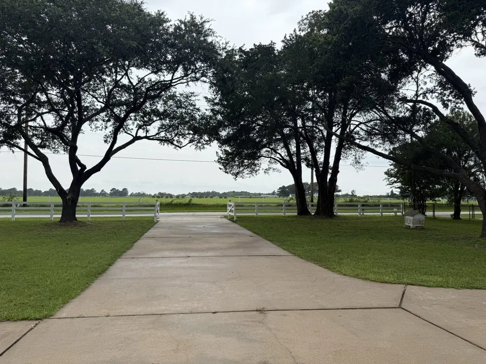 Expert landscape design experts serving Yorktown Colony, TX - Valle’s Tree Services