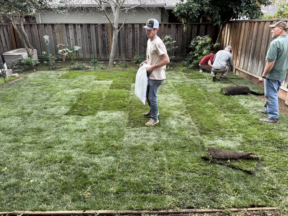 Custom lawn care service for year-round maintenance across San Jose, CA - Valletta Landscaping