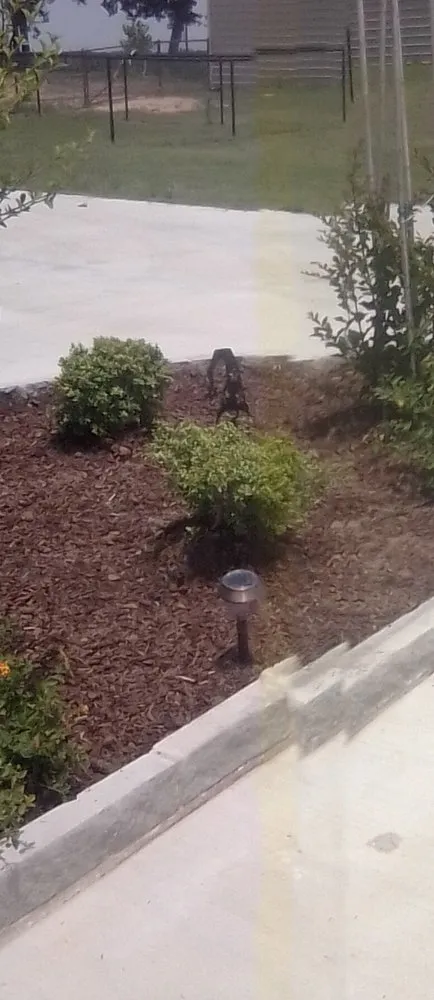 Top-rated garden landscaping for homes in Mineral Wells, TX by Valley And Son