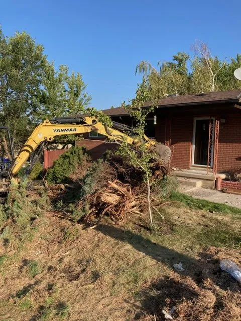 Expert yard maintenance for beautiful yards in Bountiful, UT by Valley Bobcat