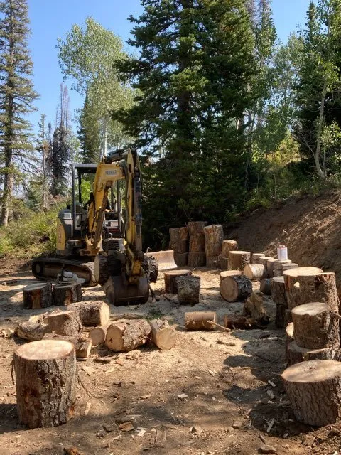 Professional yard maintenance experts serving Bountiful, UT - Valley Bobcat