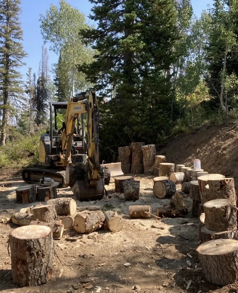 Reliable yard maintenance for year-round maintenance across Bountiful, UT - Valley Bobcat