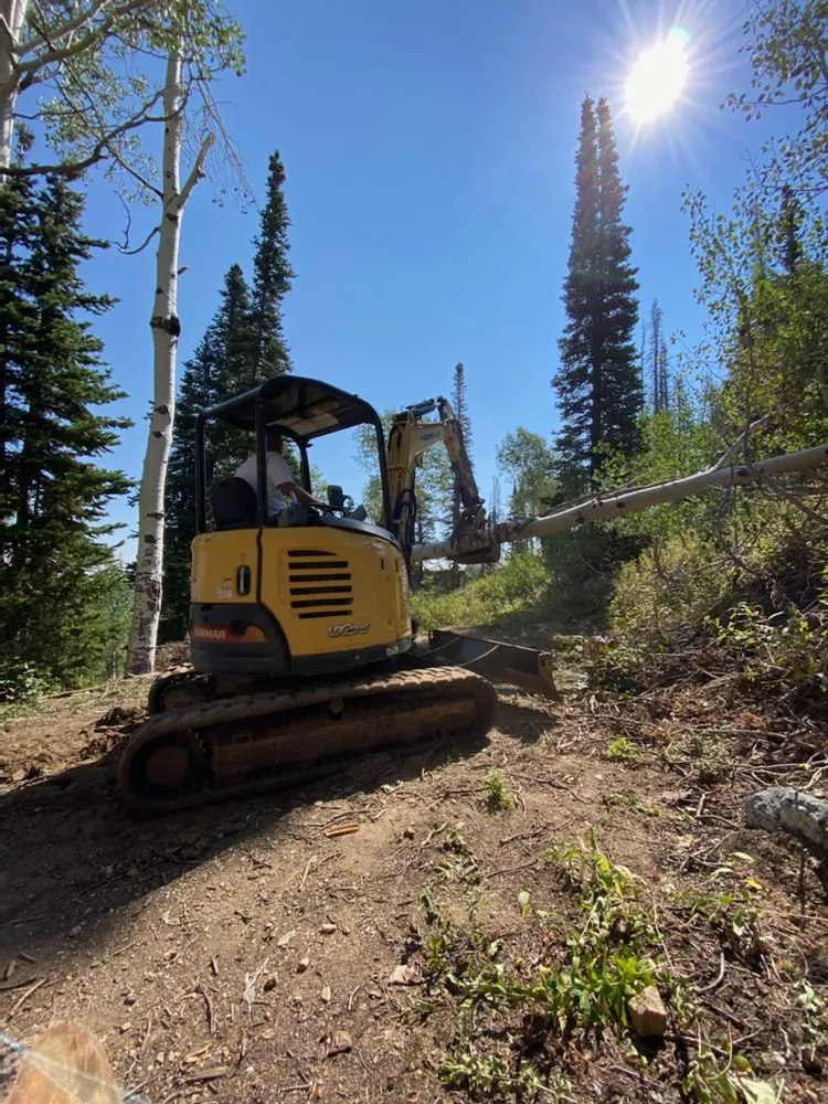 Top-rated landscape installation near you across Bountiful, UT - Valley Bobcat