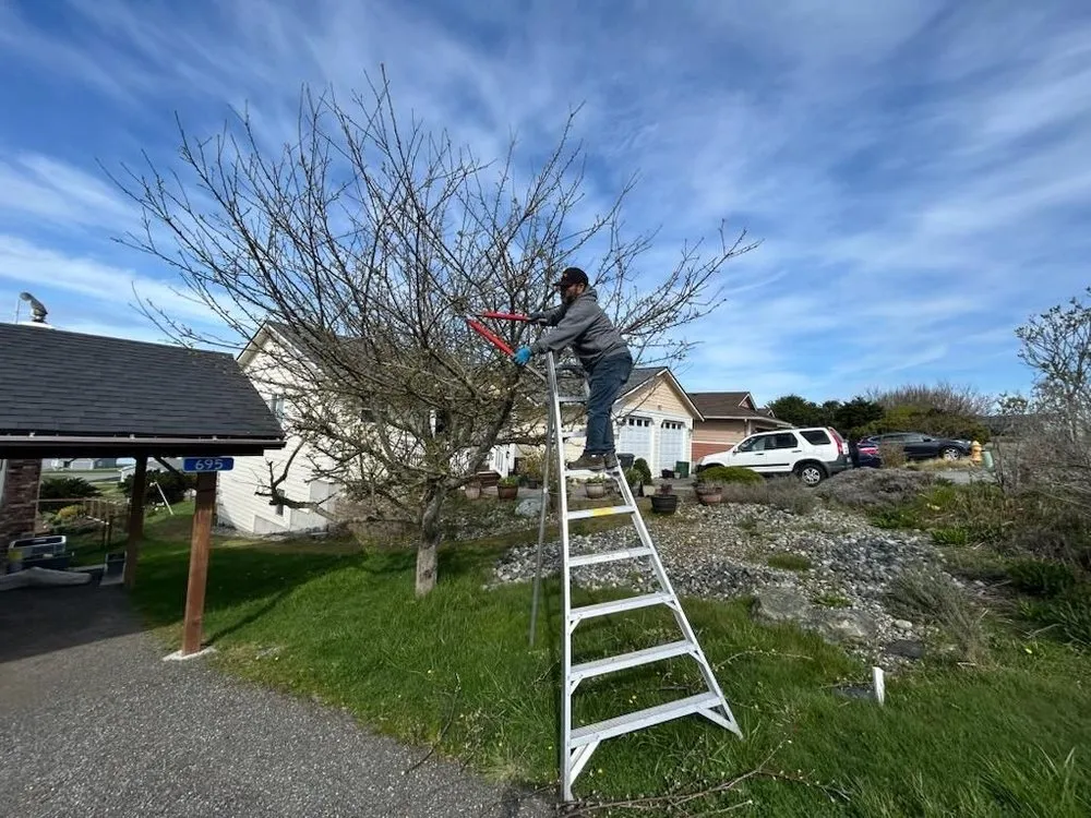 Affordable lawn care service for outdoor upgrades across Coupeville, WA - Valley Boyz Landscaping