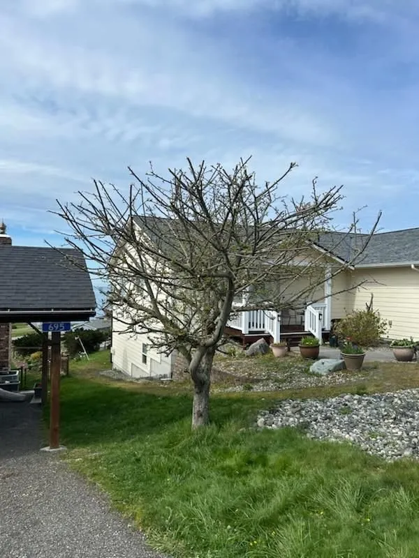 Trusted landscaping services in Coupeville, WA by Valley Boyz Landscaping