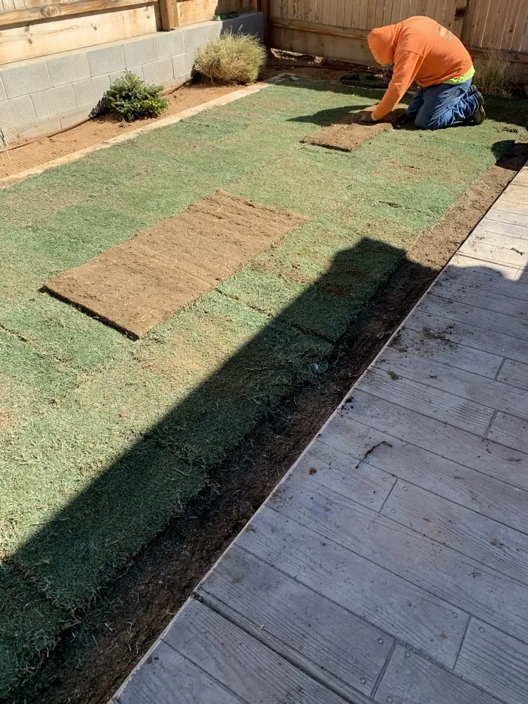 Affordable landscape design in Fresno, CA - Valley Concrete and Landscaping
