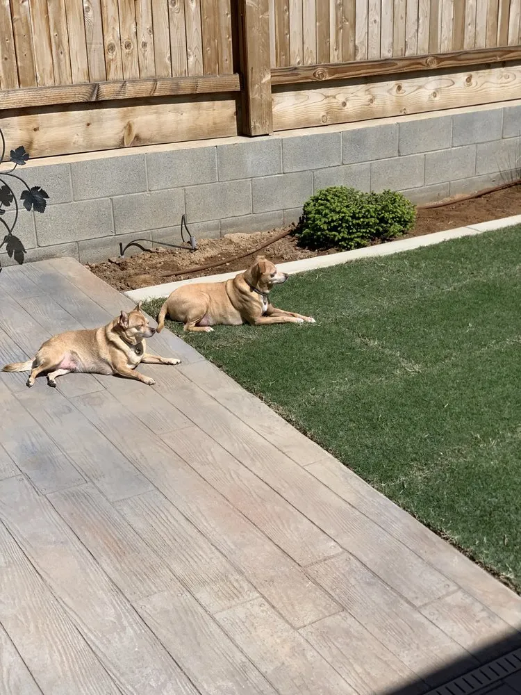 Reliable landscape design in Fresno, CA by Valley Concrete and Landscaping