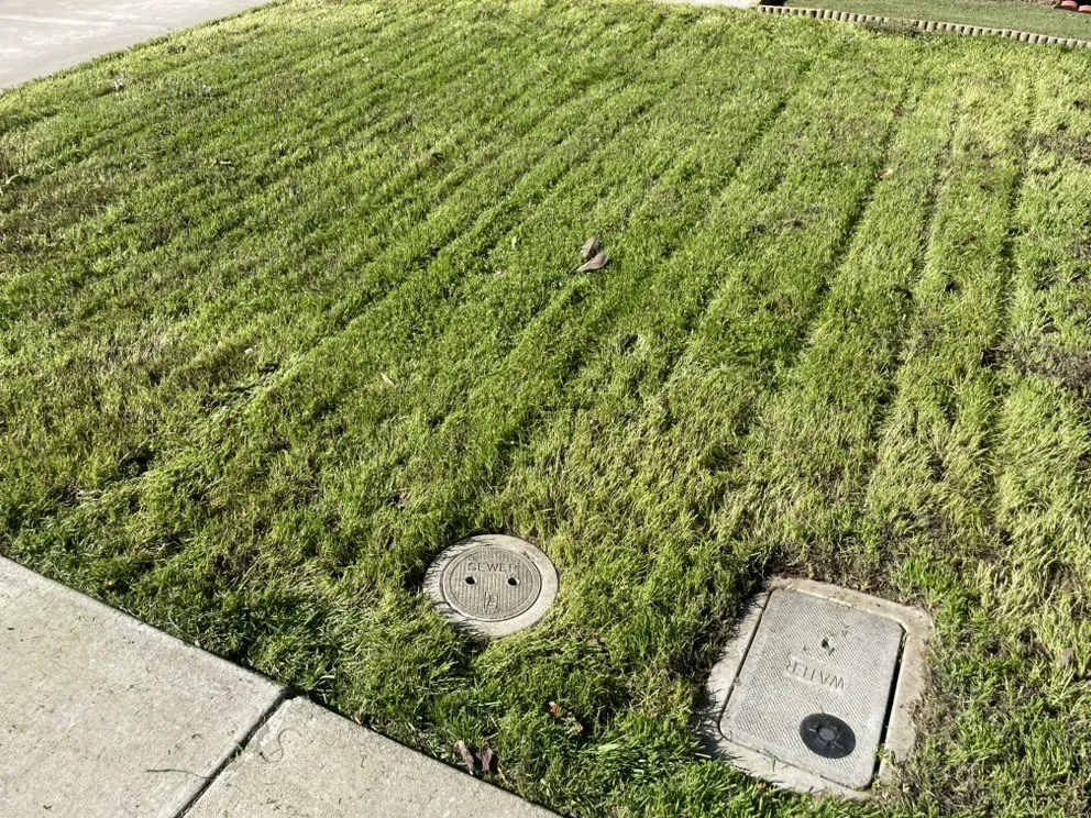 Top-rated residential landscaping in La Grange, CA by Valley Custom Lawn Services